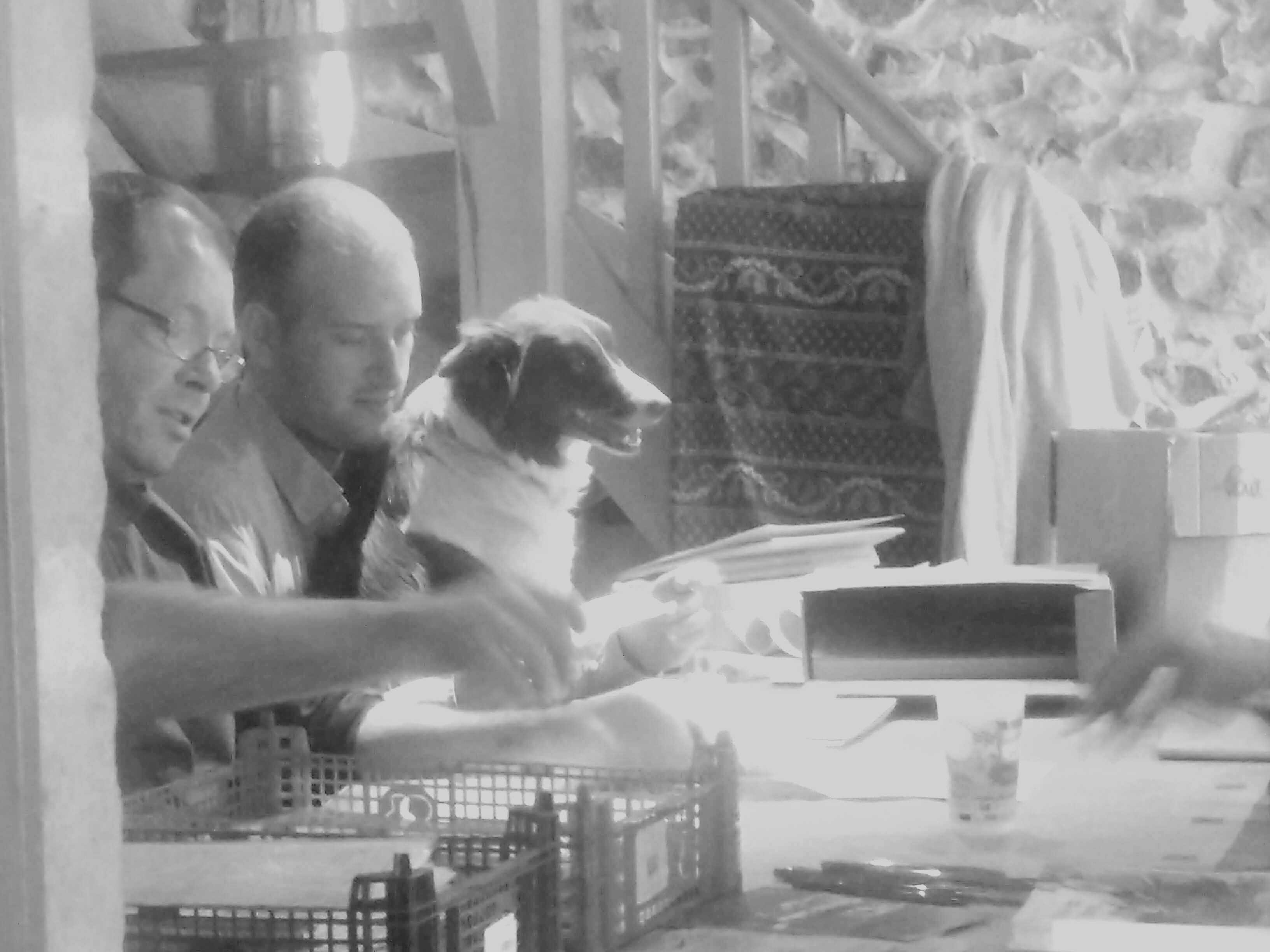 Toute l’équipe est sur le pont, même le chien Toute l’équipe est sur le pont, même le chien
