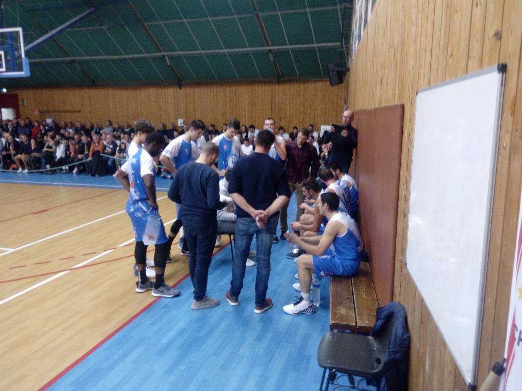 Les grelis attentifs lors d’un temps mort