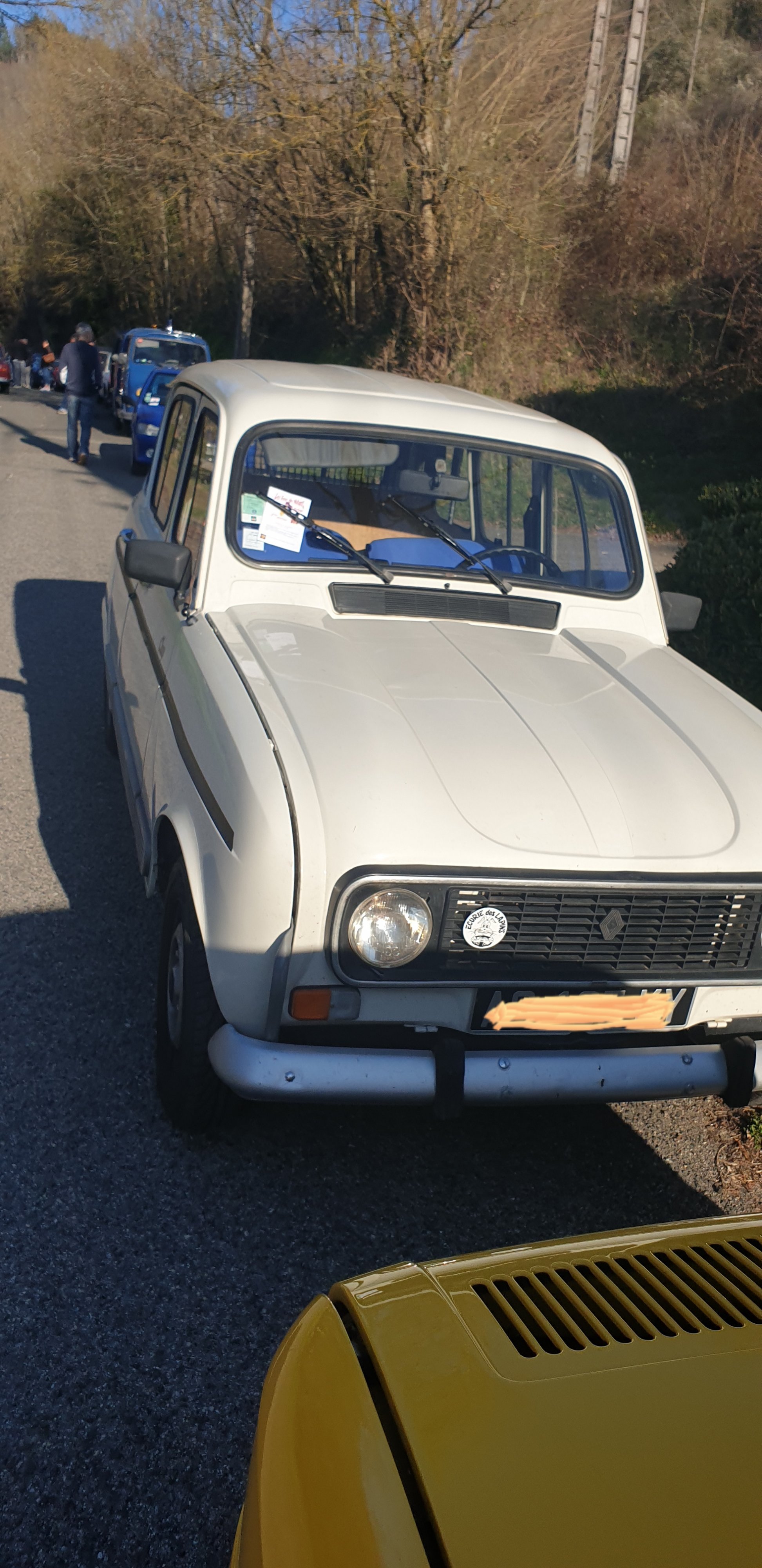 Renault 4 GTL clan 1988 Renault 4 GTL clan 1988