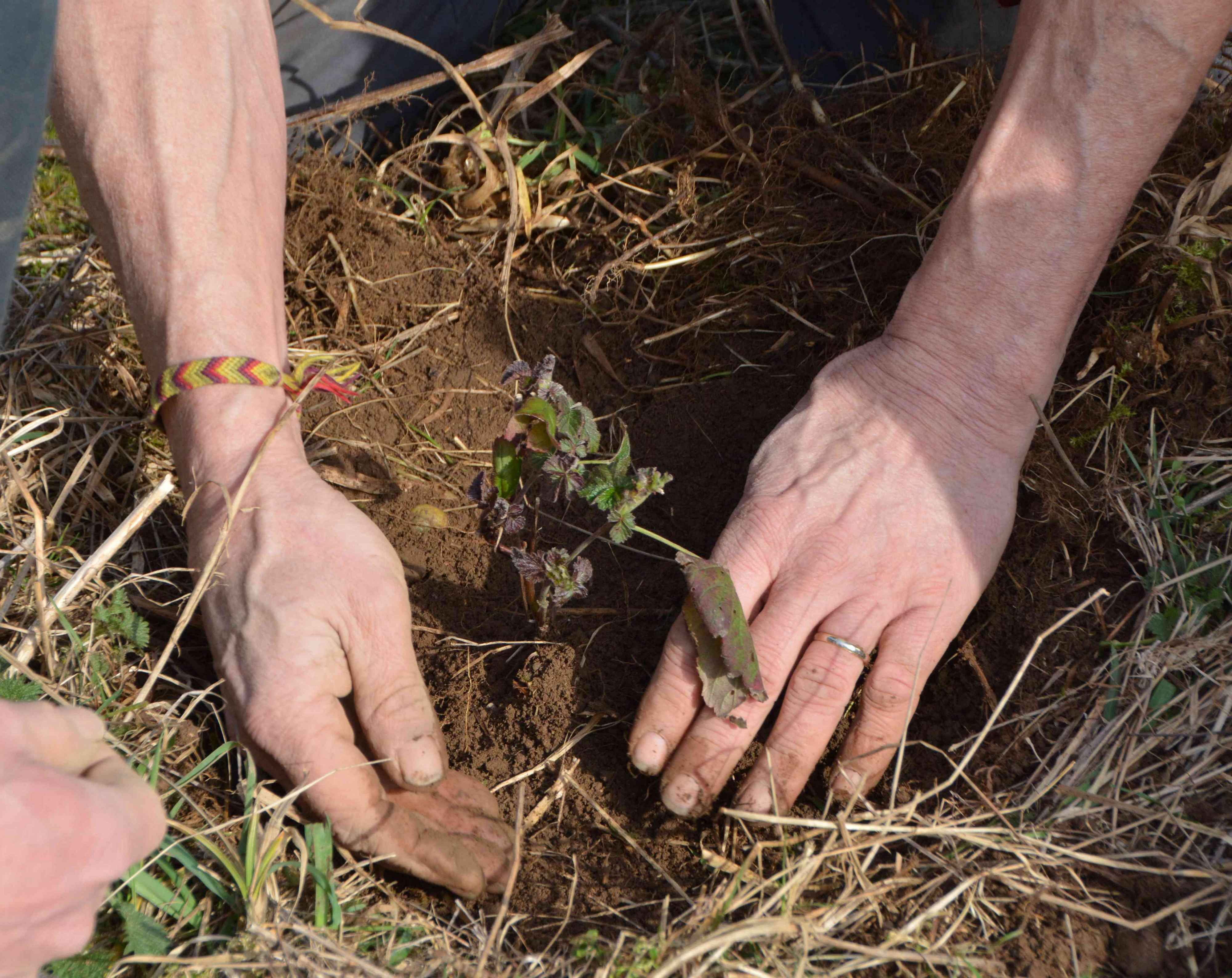 Festival écologie-économie 2017